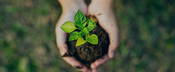 Sustentabilidade em foco